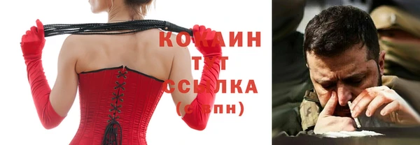 гидра Магас