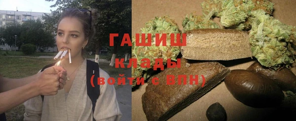 гидра Магас