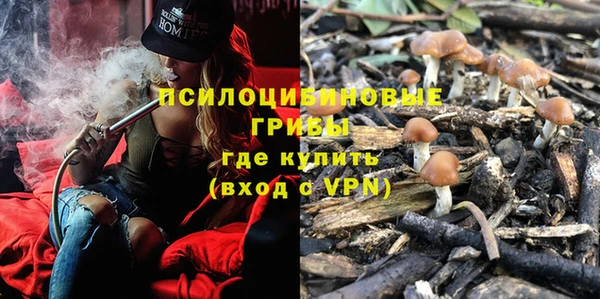 гидра Магас