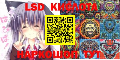 a pvp Новокубанск