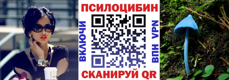 дарнет шоп Отрадное Псилоцибиновые грибы Psilocybe