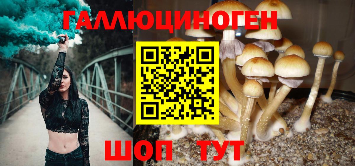 наркошоп  Вход с VPN  Отрадное  Галлюциногенные грибы Psilocybe 